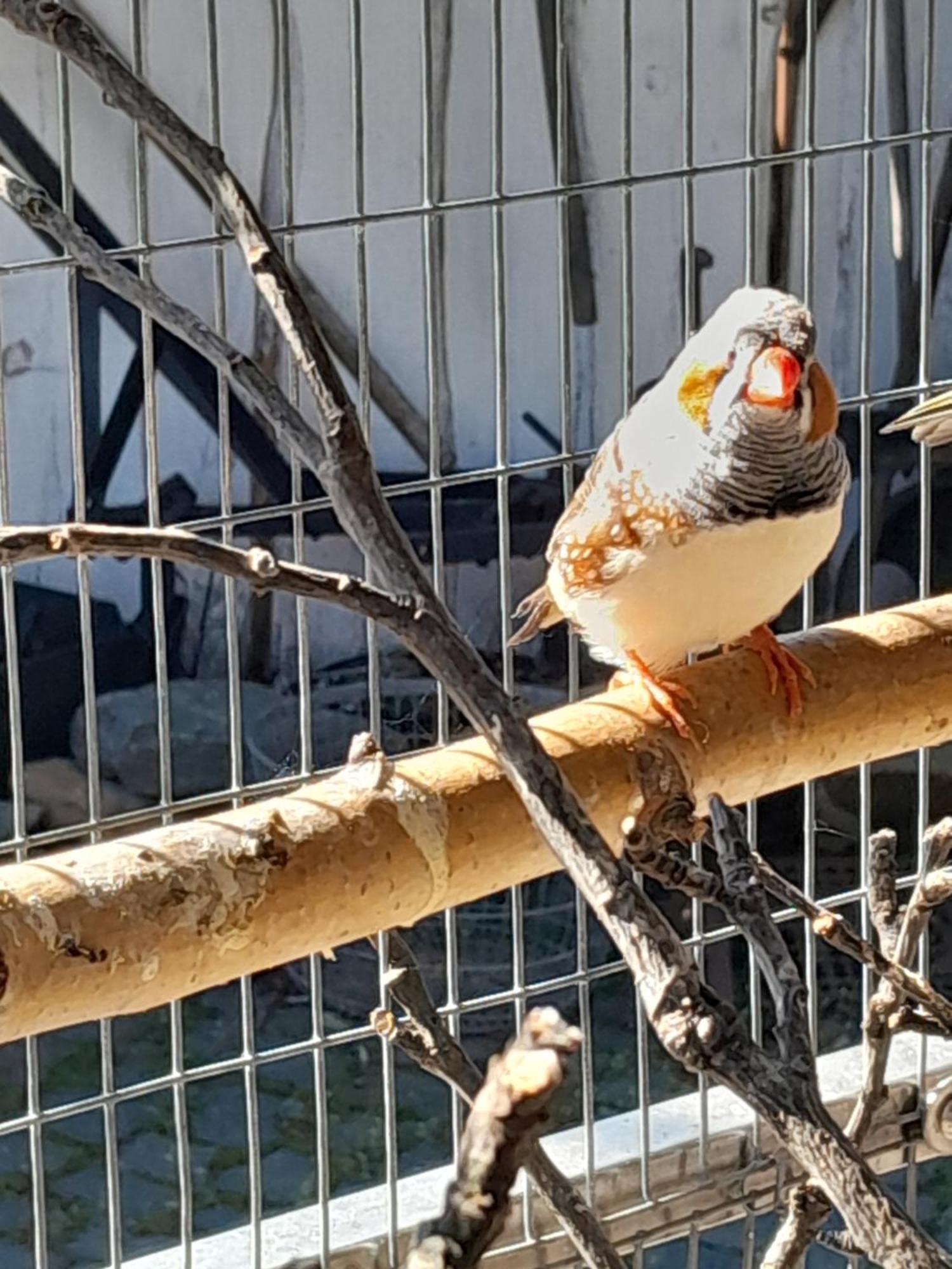 Pokoje Goscinne Skalnik - Agroturystyka Kostrzyn nad Odra Exterior foto