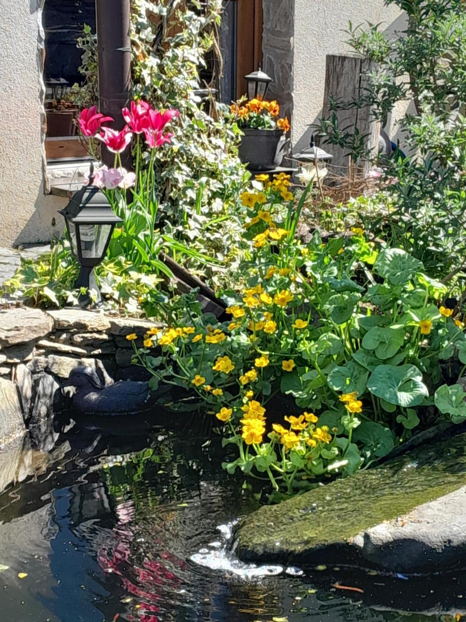Pokoje Goscinne Skalnik - Agroturystyka Kostrzyn nad Odra Exterior foto